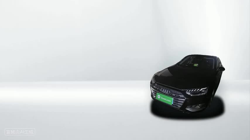 奥迪A4L 2020款 40 TFSI 豪华致雅型检测视频1