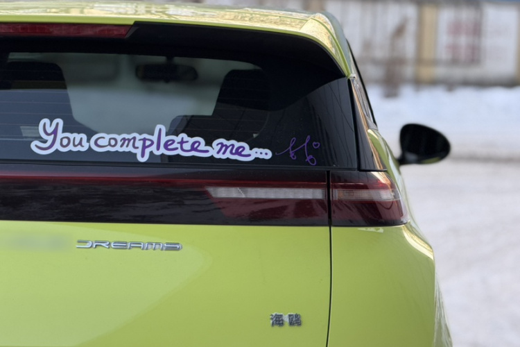 比亚迪 海鸥 2023款 自由版车身外观6005