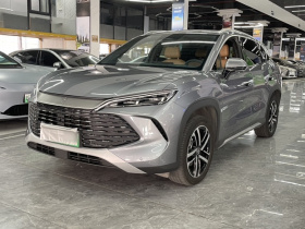 比亚迪 宋L DM-i 2024款 112km 超越型
