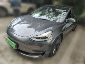 特斯拉 Model 3 2021款 标准续航后驱升级版