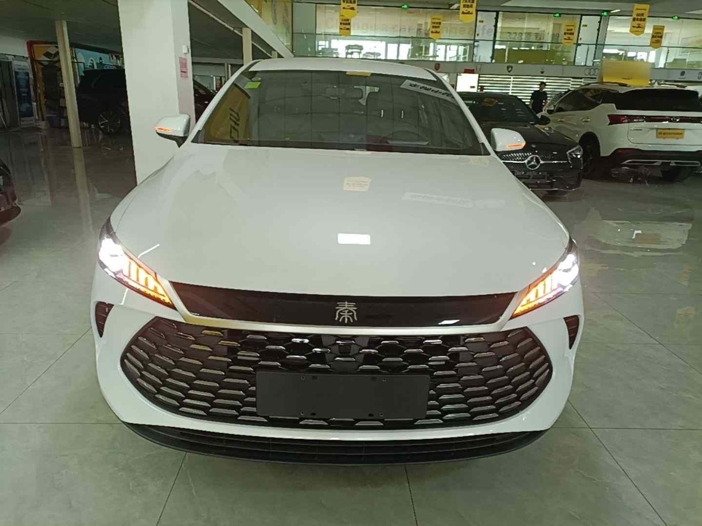 比亚迪 秦PLUS 2025款 DM-i 智驾版 55KM领先型(1)