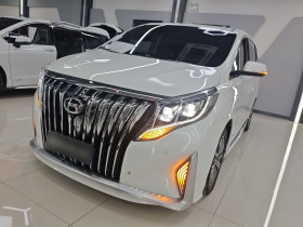 广汽传祺 传祺M8 2020款 领航款 390T 尊贵版