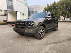 捷途山海T1 2024款 150km 向海