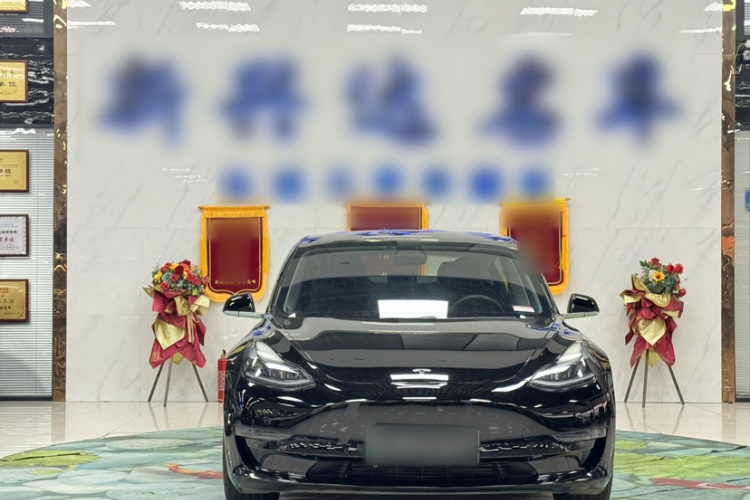 特斯拉 Model 3 2020款 长续航后轮驱动版车身外观6002