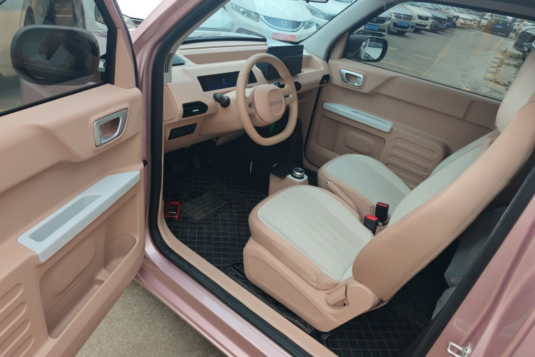 吉利银河 2024款 改款 熊猫mini 200km 龙腾版中控内饰20