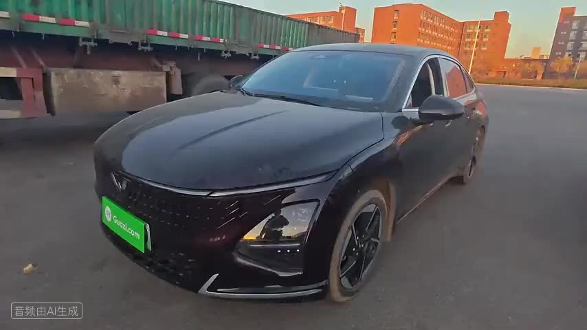 五菱汽车 五菱星光 2024款 共创版 150 领航型检测视频1