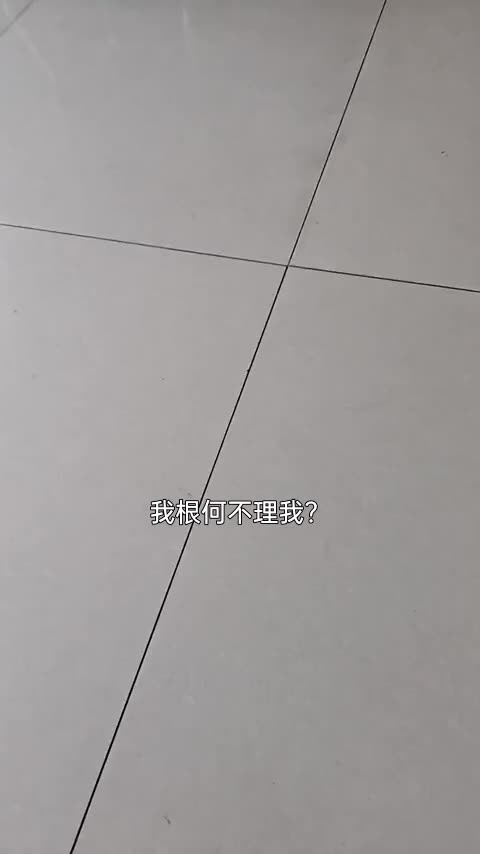 领克01 2017款 2.0T 两驱型Pro版讲解1