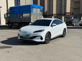 比亚迪 海豹06新能源 2024款 DM-i 80KM尊贵型