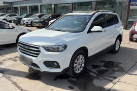 哈弗H6 2021款 运动版 1.5T 自动精英智联型 六边形格栅