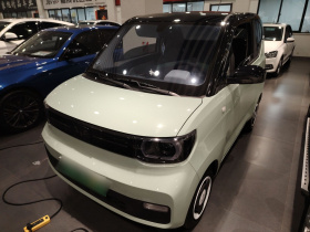 五菱汽车 宏光MINIEV 2022款 马卡龙臻享款 磷酸铁锂