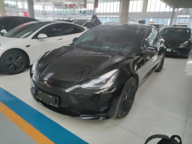 特斯拉 Model 3 2022款 后轮驱动版