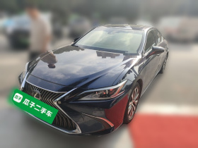 雷克萨斯ES 2018款 200 卓越版 国VI