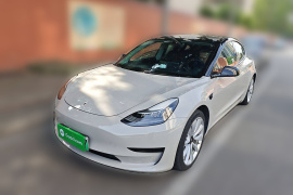 特斯拉 Model 3 2019款 标准续航后驱升级版