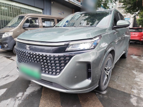 蓝电E5 2023款 1.5L DE-i 110KM旗舰型 7座