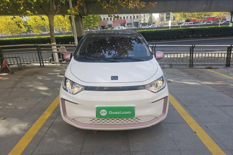 思皓 2022款 花仙子款 四叶草车身外观6001