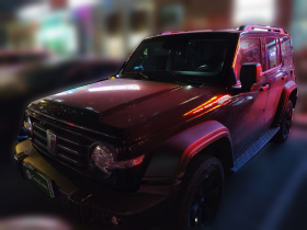 坦克300 2024款 2.0T 征服者