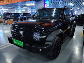 坦克300 2024款 2.0T 征服者