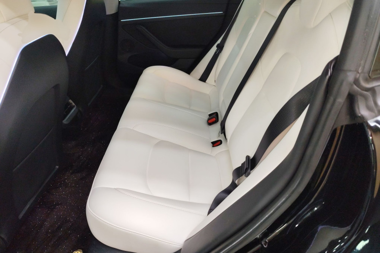 特斯拉 Model 3 2022款 后轮驱动版中控内饰7004