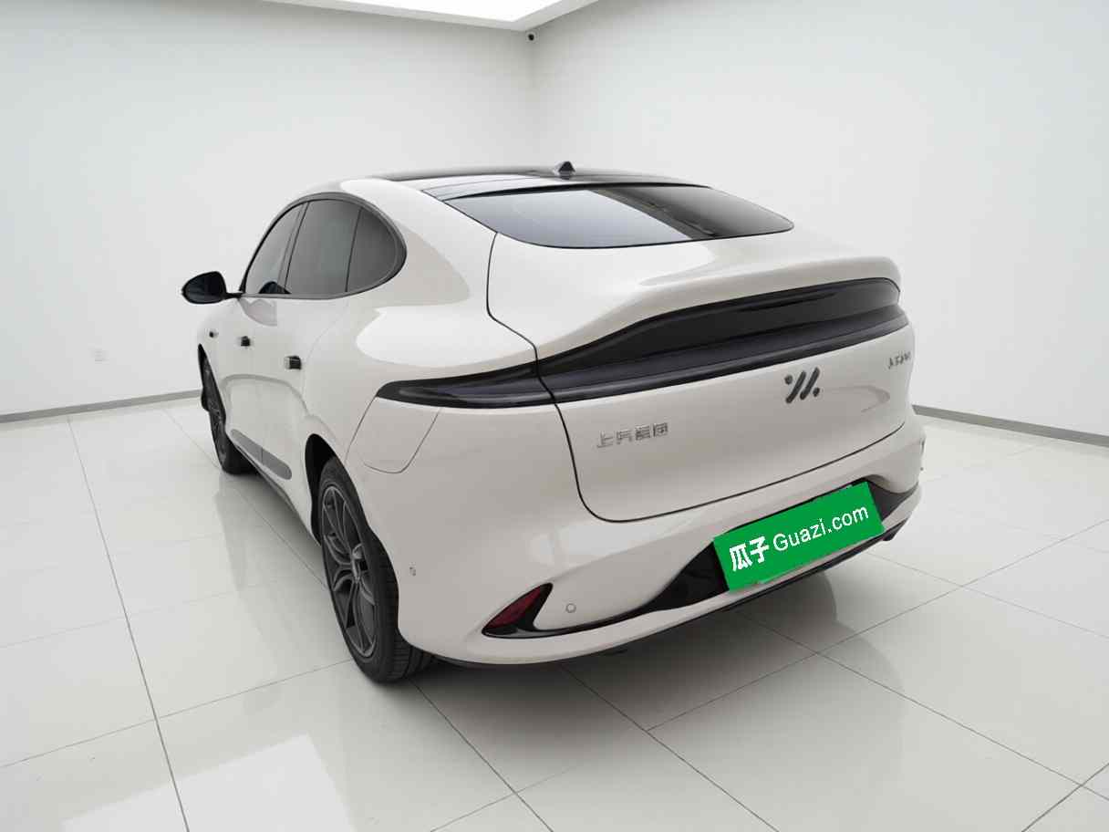 智己汽车 智己LS6 2023款 Max 超长续航版(4)