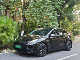 特斯拉 Model Y 2023款 长续航全轮驱动版