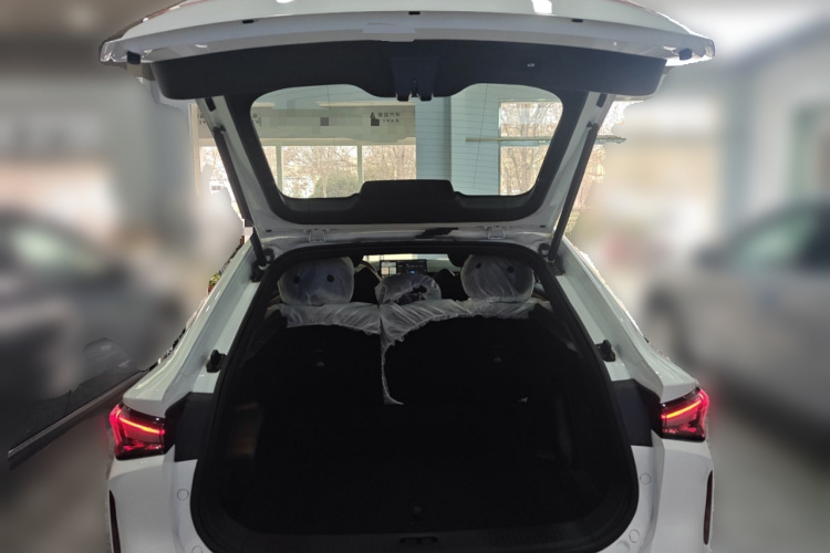 睿蓝汽车 睿蓝7 2024款 605km 荣耀版中控内饰23