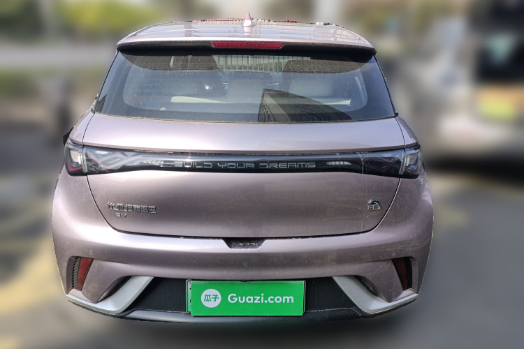 比亚迪 海豚 2021款 405km 时尚版车身外观6