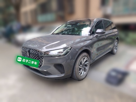 林肯 冒险家 2023款 2.0T 两驱尊享版