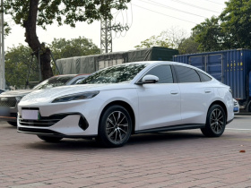比亚迪 海豹06新能源 2024款 DM-i 80KM尊贵型