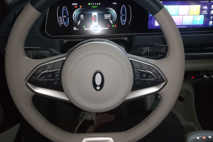 欧拉好猫 2022款 400km标准续航 尊贵型 磷酸铁锂局部细节13