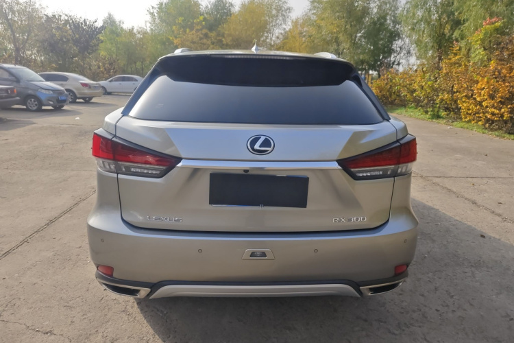 雷克萨斯RX 2020款 改款 300 四驱典雅版车身外观6004