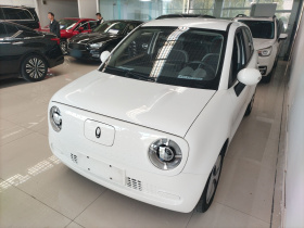 欧拉黑猫 2021款 301km 基础型