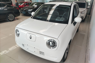 欧拉黑猫 2021款 301km 基础型