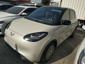 五菱汽车 五菱缤果 2023款 410km 灵犀尊享款