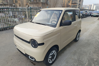 吉利银河 熊猫 2025款 210km 元气熊