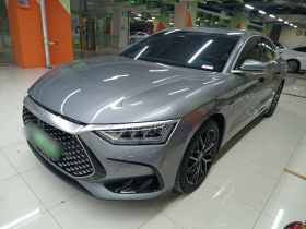 比亚迪 汉 2022款 DM-p 202KM 四驱旗舰型