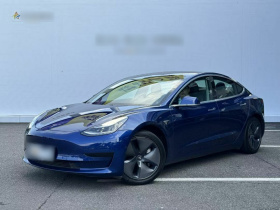 特斯拉 Model 3 2019款 标准续航后驱升级版