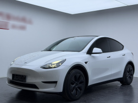 特斯拉 Model Y 2024款 后轮驱动版