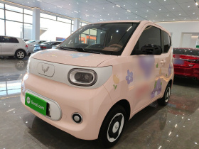 五菱汽车 宏光MINIEV 2024款 第三代 215km 青春版