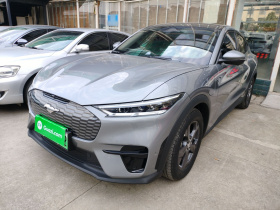 福特电马 2021款 跃世后驱版(标准续航)