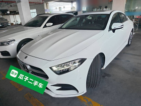 奔驰CLS 2020款 CLS 300 动感型