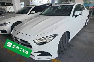 奔驰CLS 2020款 CLS 300 动感型