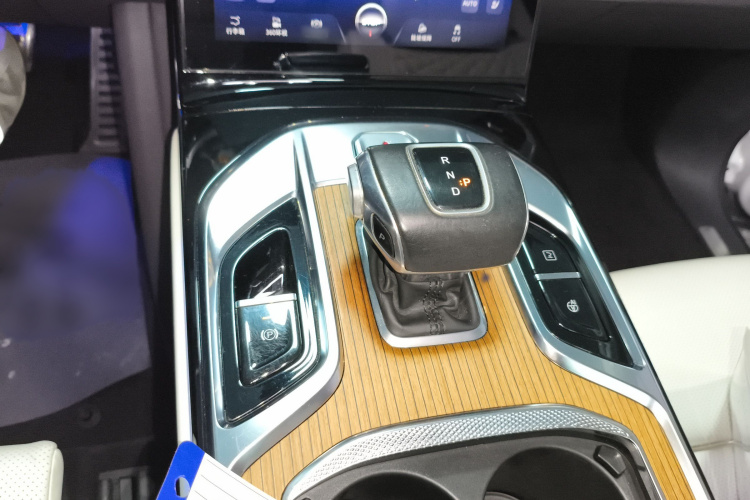 红旗E-HS9 2021款 510km 旗领版 四座局部细节18