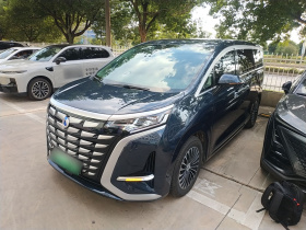 腾势D9 2022款 DM-i 970 四驱尊荣型