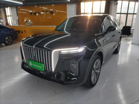 红旗E-HS9 2021款 460km 旗享版 六座