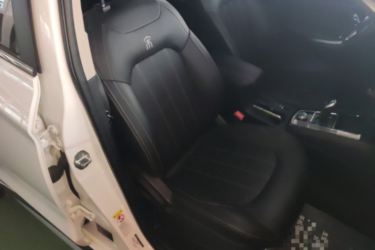 比亚迪 宋新能源 2019款 宋EV500 智联领动型局部细节41