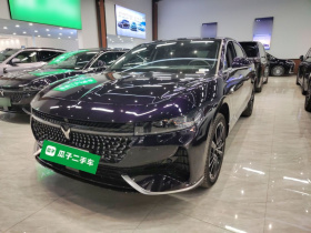 岚图汽车 岚图追光 2024款 PHEV 四驱超长续航旗舰版