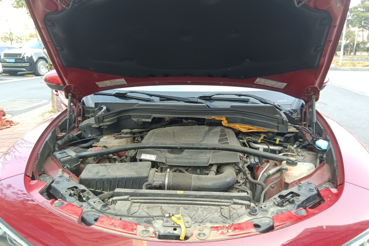 阿尔法·罗密欧 Stelvio斯坦维 2017款 2.0T 200HP 精英版机舱底盘24