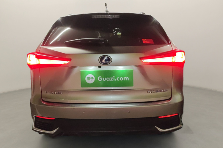 雷克萨斯NX 2020款 300h 前驱 锋尚版 国VI车身外观6