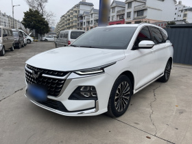 五菱汽车 五菱凯捷 2023款 2.0L DHT臻享型