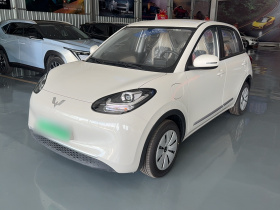 五菱汽车 五菱缤果 2024款 203km 轻享款